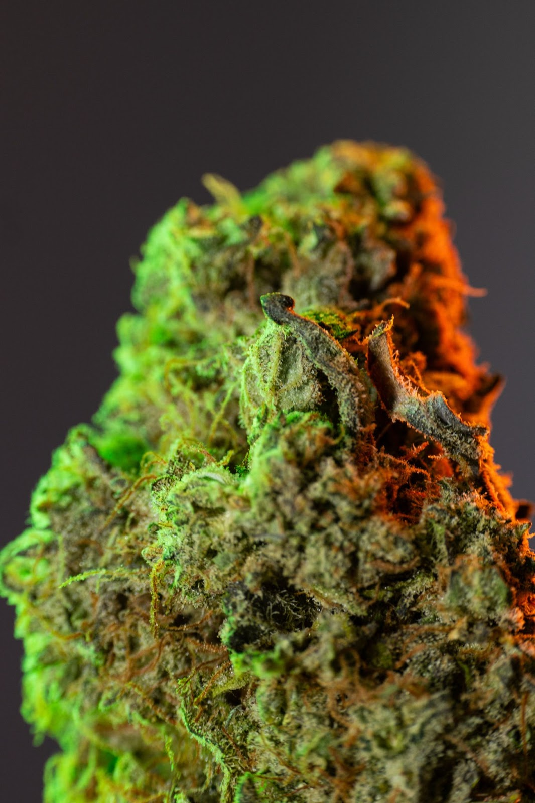 THE HOMBRE VERDE SPECIAL